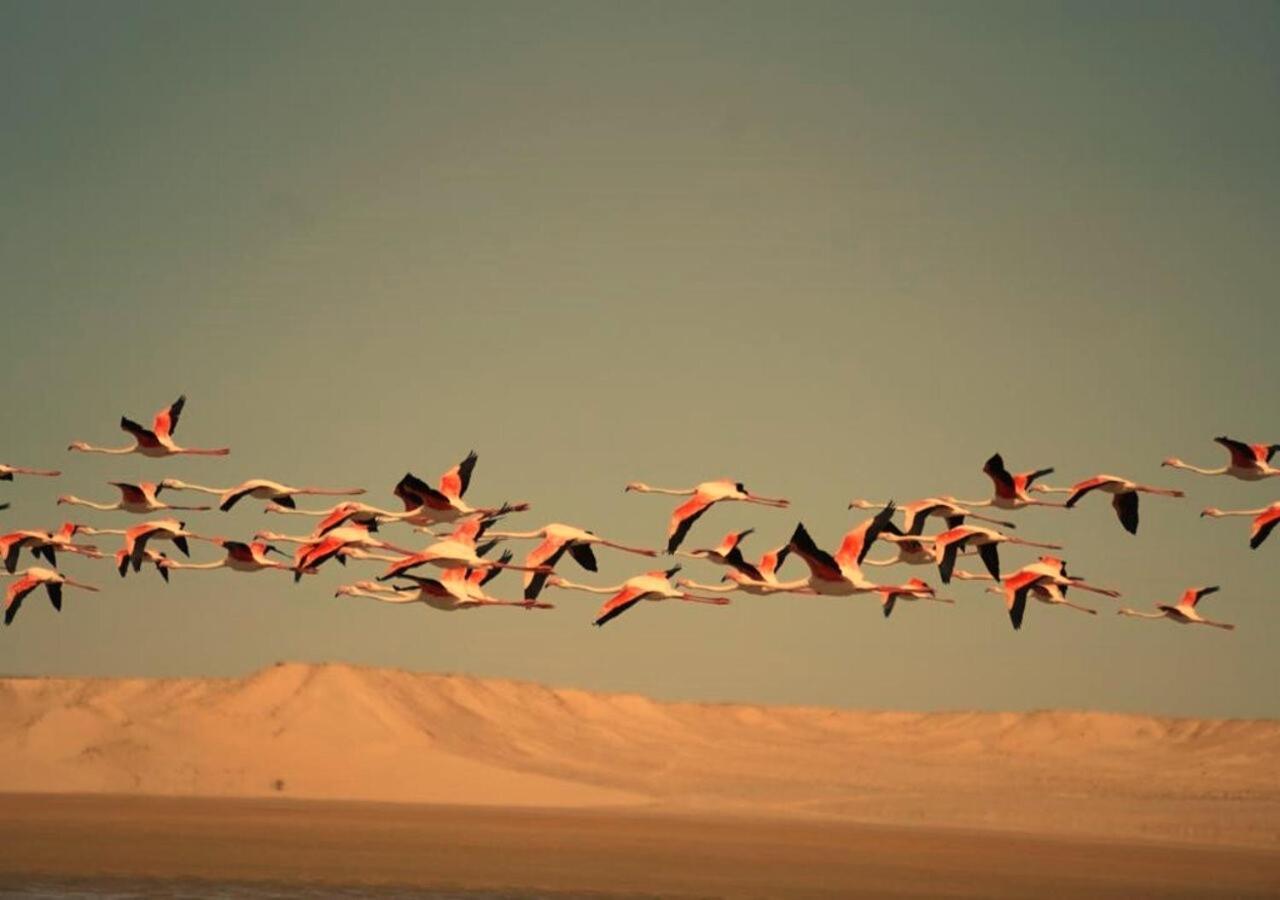 Paraiso Dakhla Exteriör bild